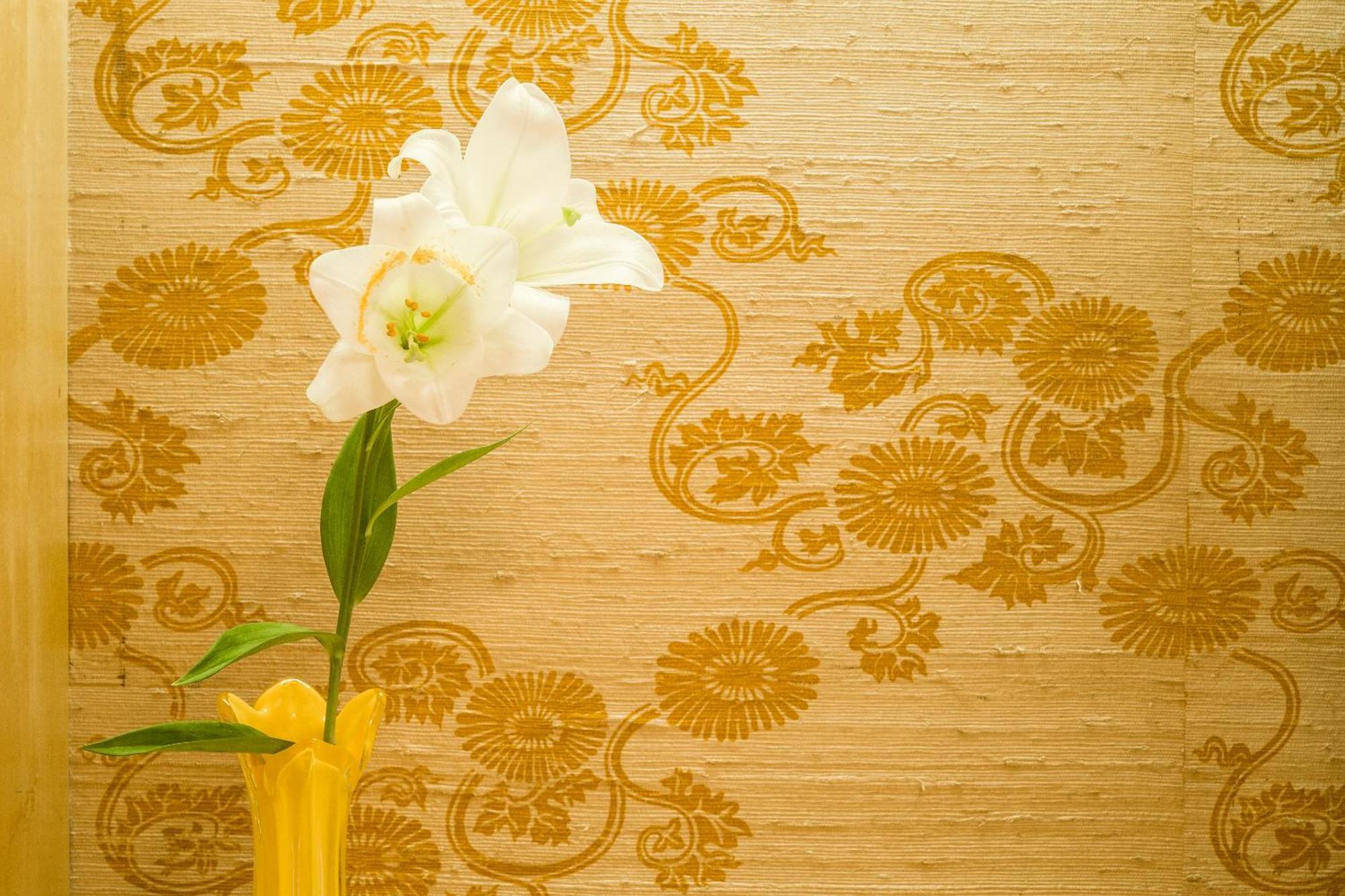 Home Hotel บัวโนสไอเรส ห้อง รูปภาพ